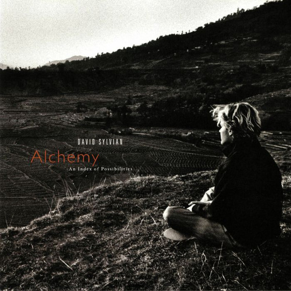 Bild David Sylvian – Alchemy An Index Of Possibilities | Vinyl, LP, Album, Reissue | Electronic | Europe Schallplatten Ankauf