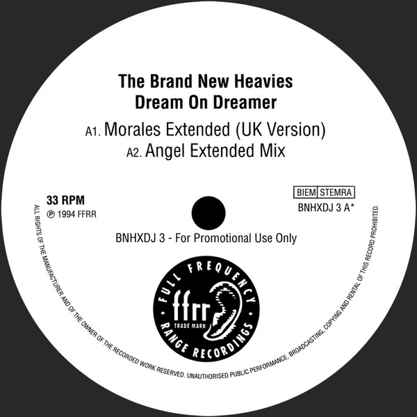 Bild The Brand New Heavies – Dream On Dreamer | 1994 | Vinyl, 12″, 33 ⅓ RPM, Promo | Electronic | UK Schallplatten Ankauf