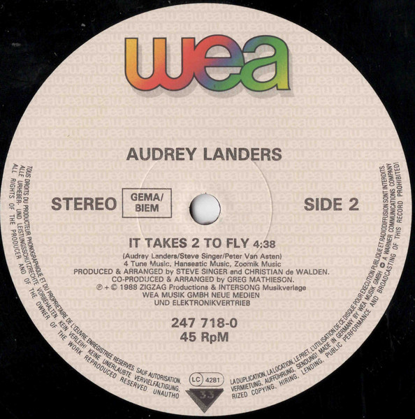 Cover zu Audrey Landers - Never Wanna Dance (When I'm Blue) | 1988 | Vinyl, Stereo, 12