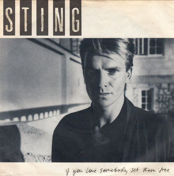 Bild Sting – If You Love Somebody Set Them Free | 1985 | Vinyl, Stereo, 45 RPM, 7″, Single | Jazz, Rock, Pop | Germany Schallplatten Ankauf