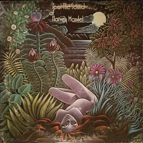 Bild Harvey Mandel – Feel The Sound Of Harvey Mandel | Vinyl, LP, Album, Stereo | Rock | US Schallplatten Ankauf
