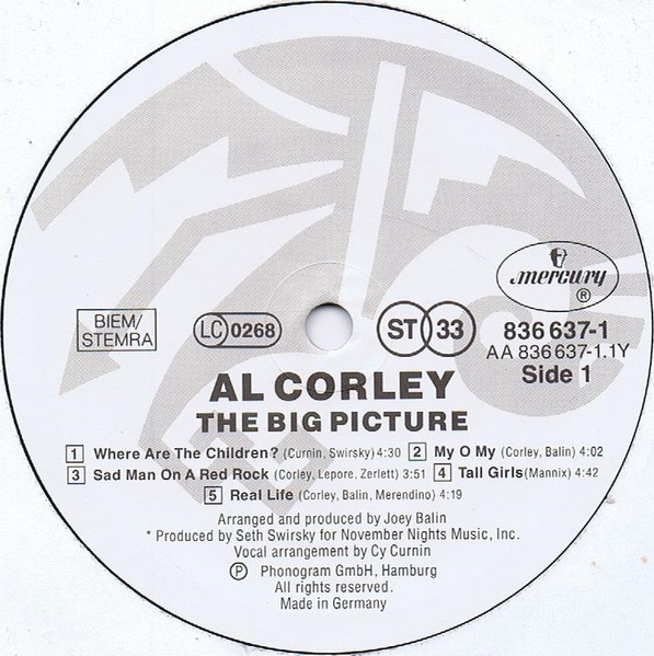 Cover zu Al Corley - The Big Picture | 1988 | Vinyl, LP, Album | Rock, Pop | Europe