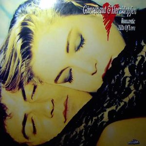 Bild Various – Gänsehaut & Herzklopfen (Romantic Hits Of Love) | 1990 | Vinyl, LP, Stereo, Compilation | Electronic, Rock, Blues, Pop | Germany Schallplatten Ankauf
