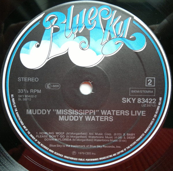 Cover zu Muddy Waters - Muddy