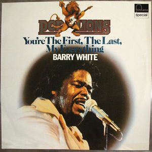 Bild Barry White – You’re The First, The Last, My Everything | 1976 | Vinyl, LP, Compilation | Funk / Soul | Germany Schallplatten Ankauf