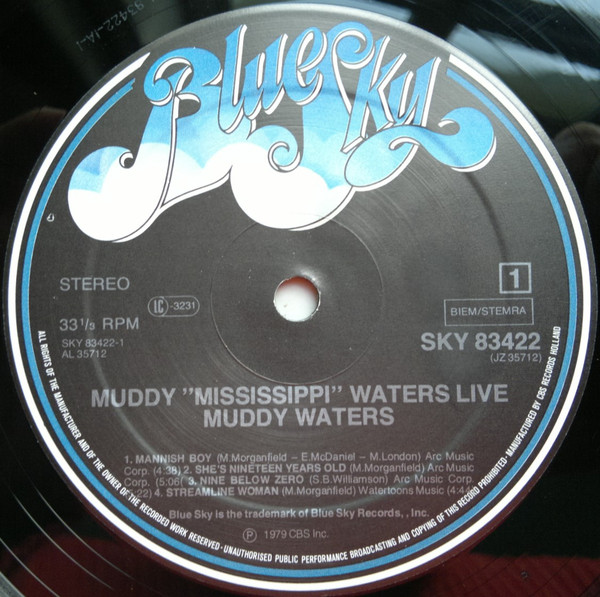 Cover zu Muddy Waters - Muddy