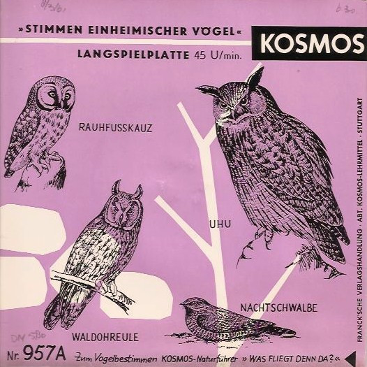 Bild Gerhard Thielcke, Claus Fentzloff – Stimmen Einheimischer Vögel | Vinyl, 45 RPM, 7″, Mono, EP | Non-Music | Germany Schallplatten Ankauf
