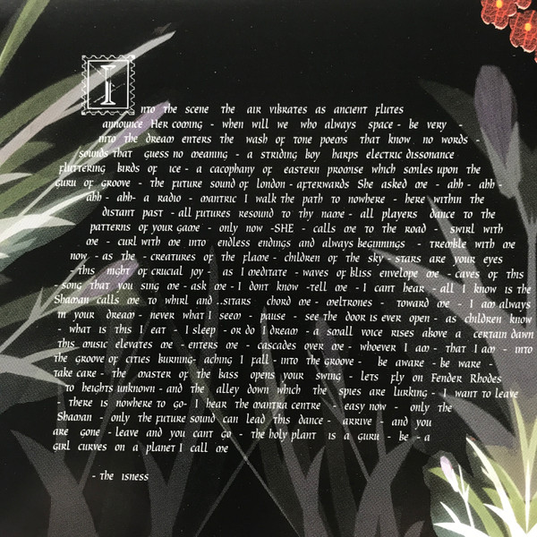 Cover zu Amorphous Androgynous - The Isness | 2002 | Vinyl, LP, Album | Electronic, Rock | UK