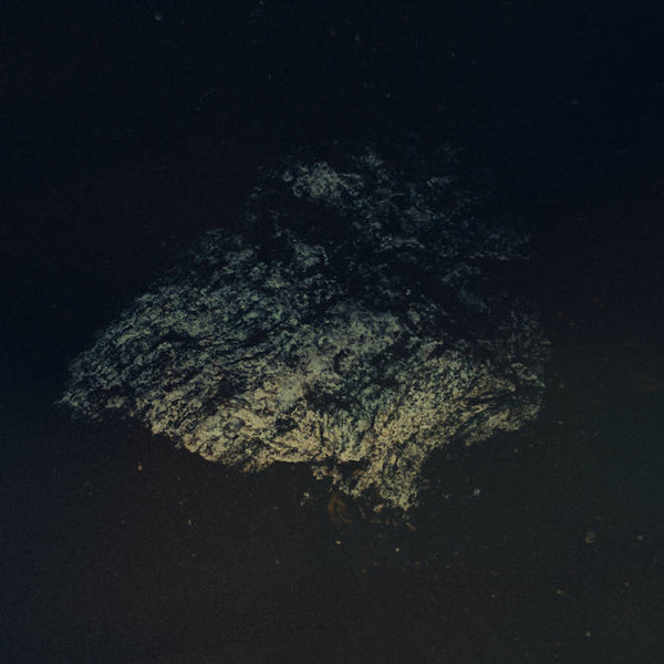 Bild Multicast Dynamics – Lost World | 2019 | Vinyl, LP, Album | Electronic | Germany Schallplatten Ankauf