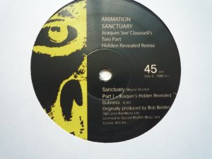 Cover zu Animation (9) - Sanctuary (Joaquin 'Joe' Claussell's Two Part Hidden Revealed Remix) | 2012 | Vinyl, 45 RPM, 10